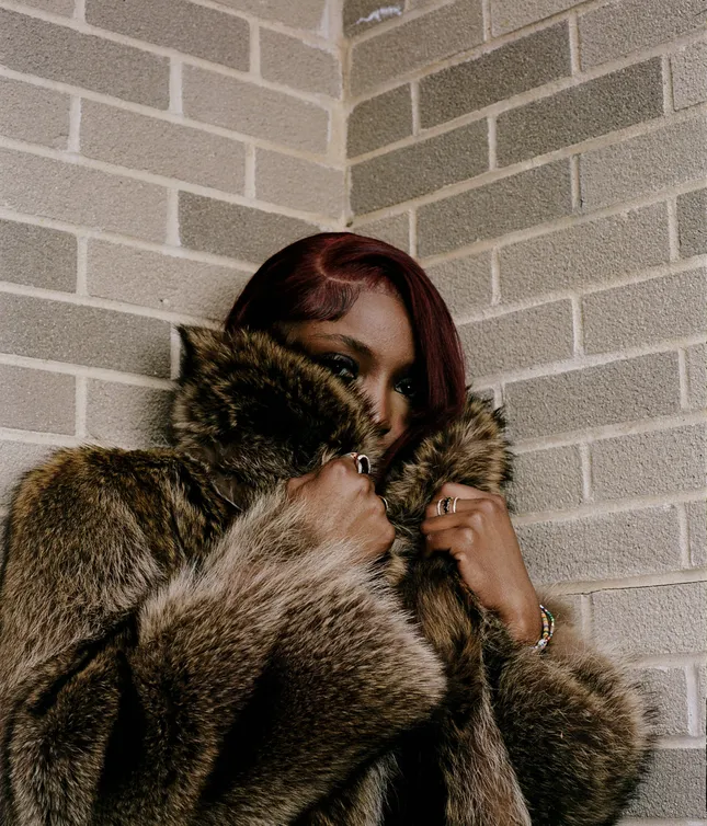 Fur & The City