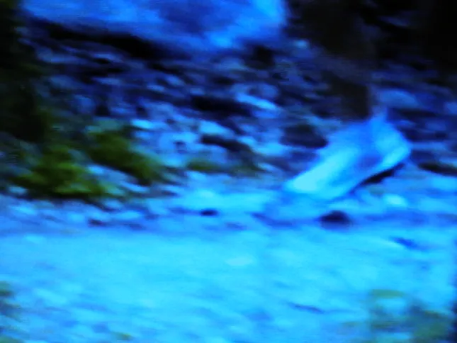 Arcteryx run and gun