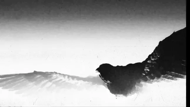 Nested For Rest - Official Visualizers