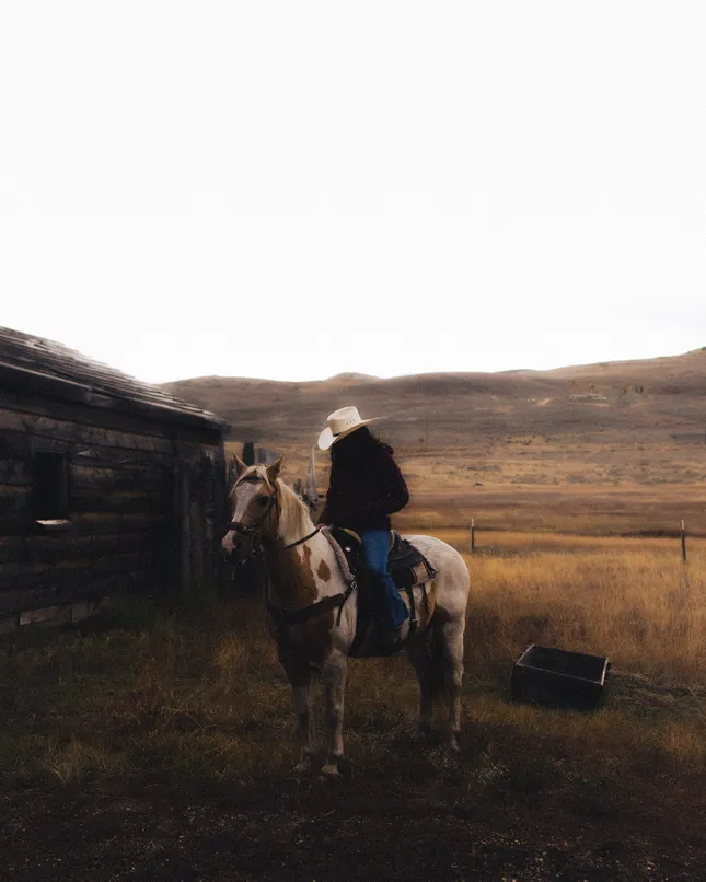Yellowstone Ride