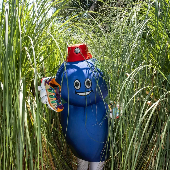 Adidas Superturf x Sean Wortherspoon