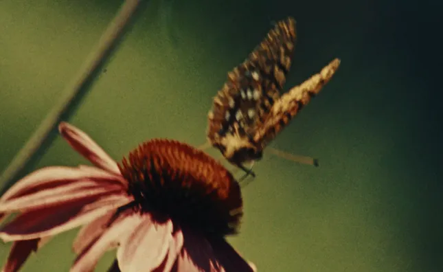 Seasons - A Short Film