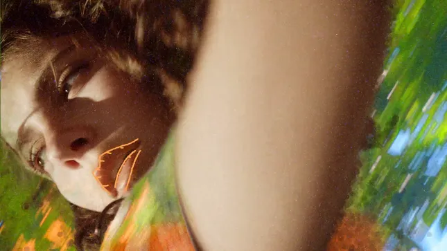 Jaybird