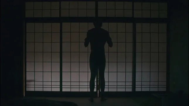 How to travel alone: Japan