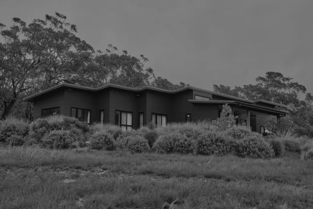 ぼけっと Boketto Brooms Head - residency.