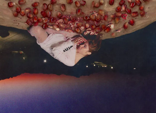 pomegranate- Alé Araya