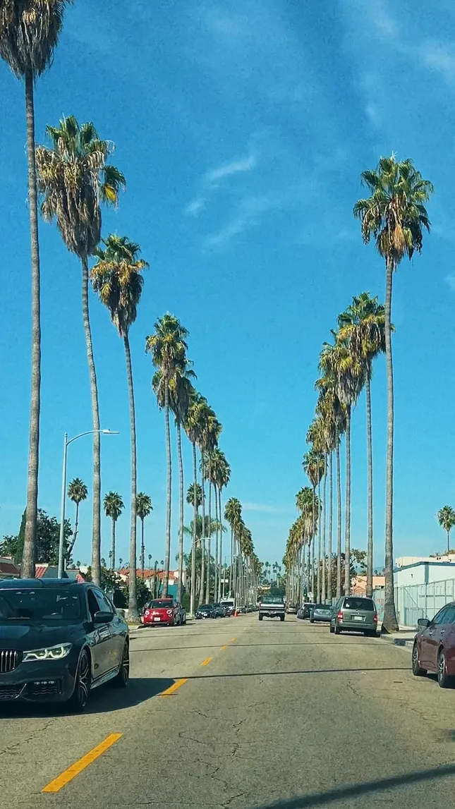 Seattle to Los Angeles in 20 seconds.