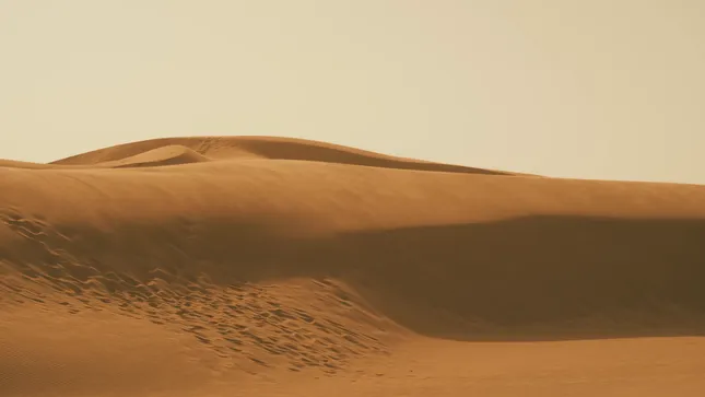 Standing On The Horizon | Erica Klein