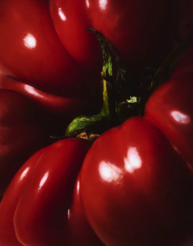 Commercial Still Life
