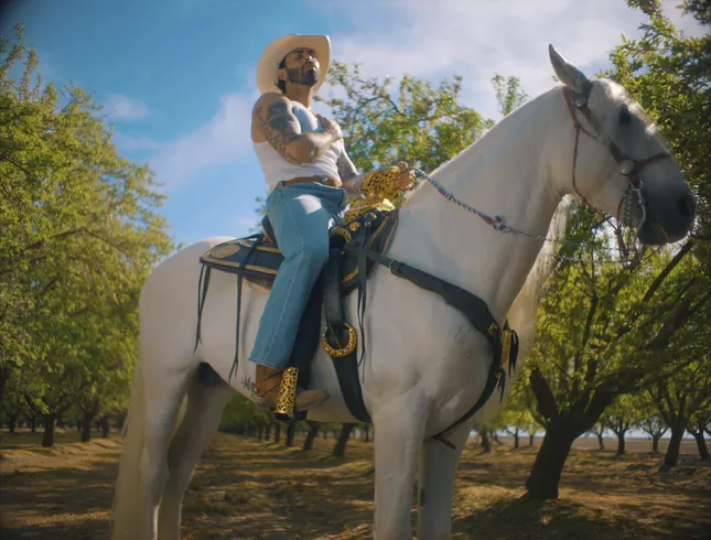 Seduceme Official Music video - J Salez