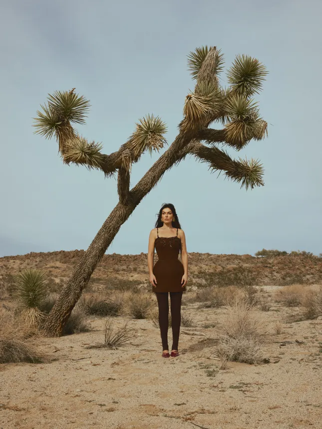 Serinda Swan for Ladygunn Magazine