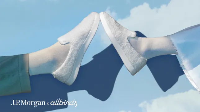 J.P. Morgan Chase x Allbirds