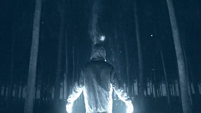 L’errant - The Night Wanderer