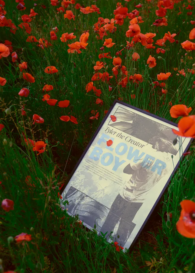 Tyler the Creator Posters