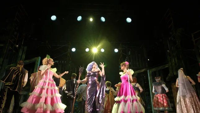 INTO THE WOODS - FIRST LOOK