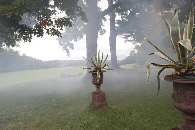 The Visitor- Ragnar Kjartansson