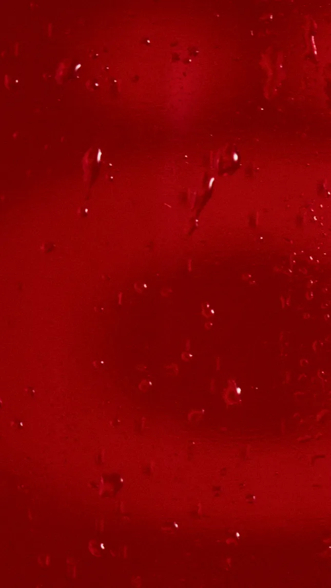 Töst - Sangria
