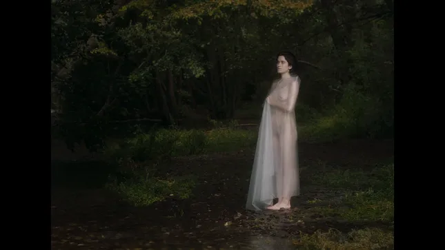 Diary of Hidden Bodies