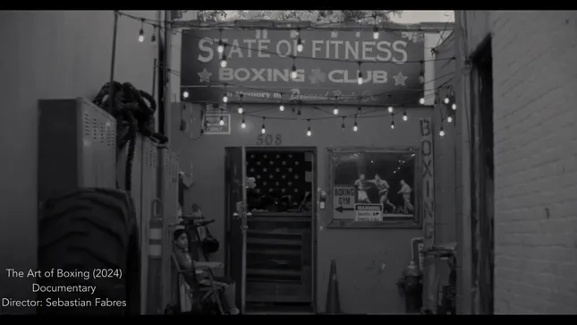 Reel-Art Of Boxing