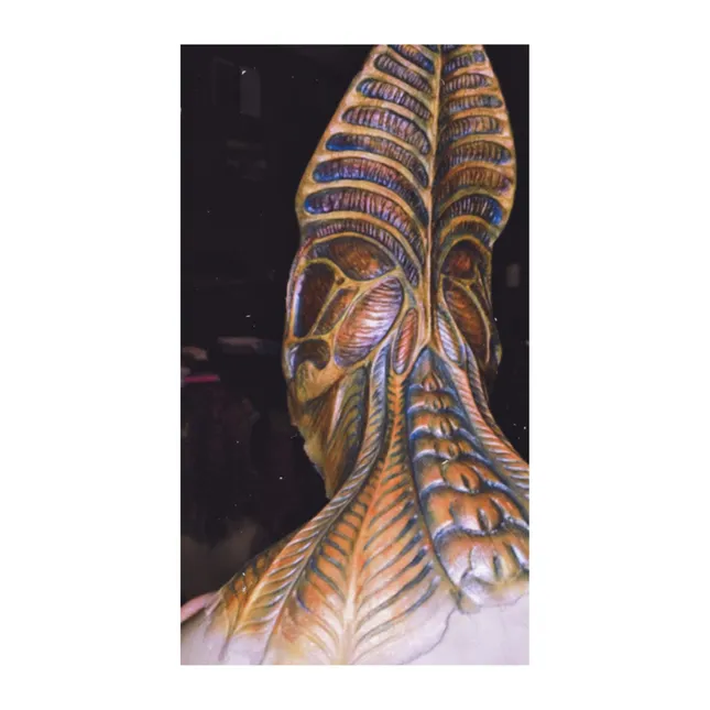 Project image