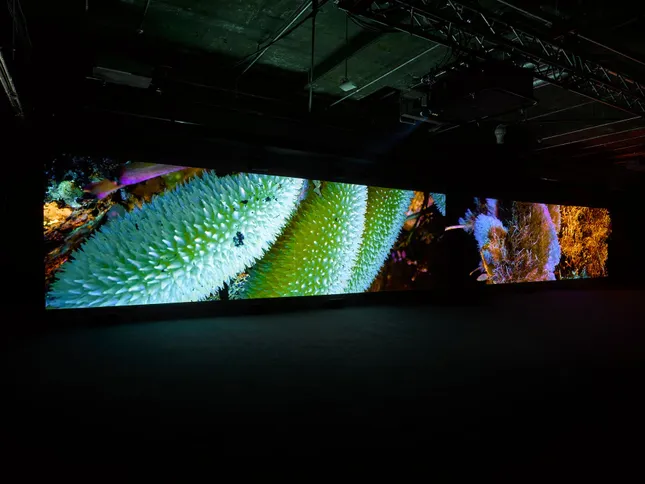 Project image