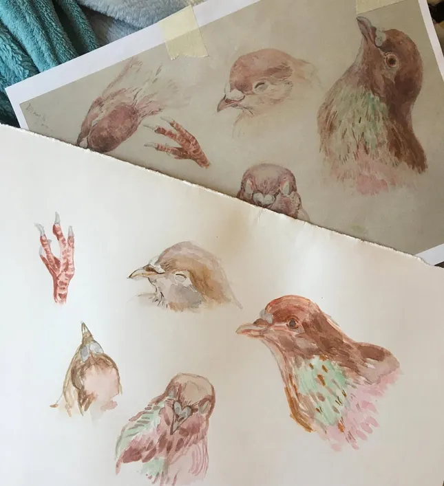 Watercolor works