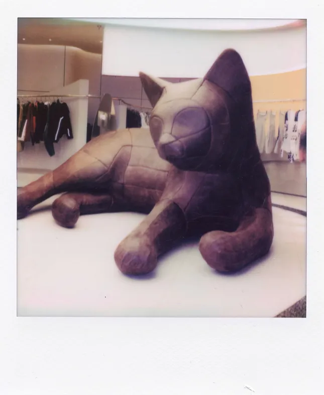Project image
