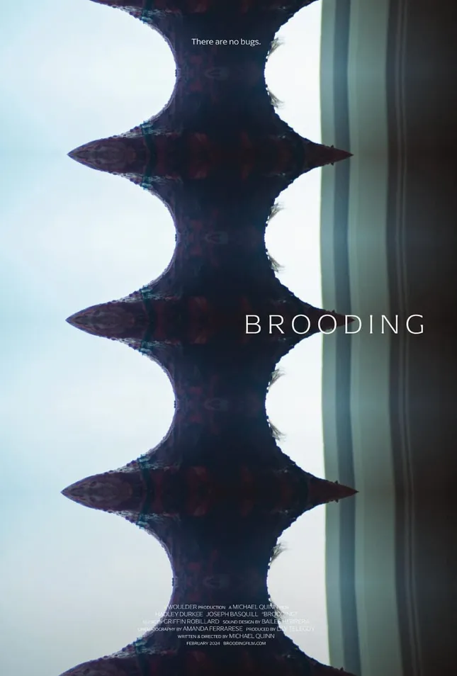 Brooding