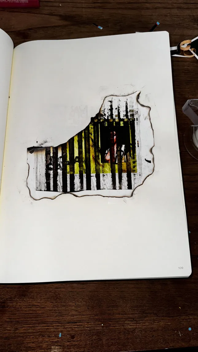 Project image