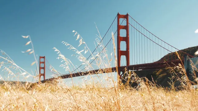 Brand Story - National MS Society Gala Film