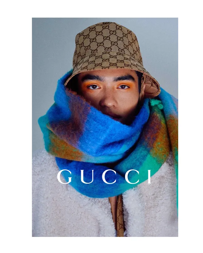 Accoya 4 Gucci