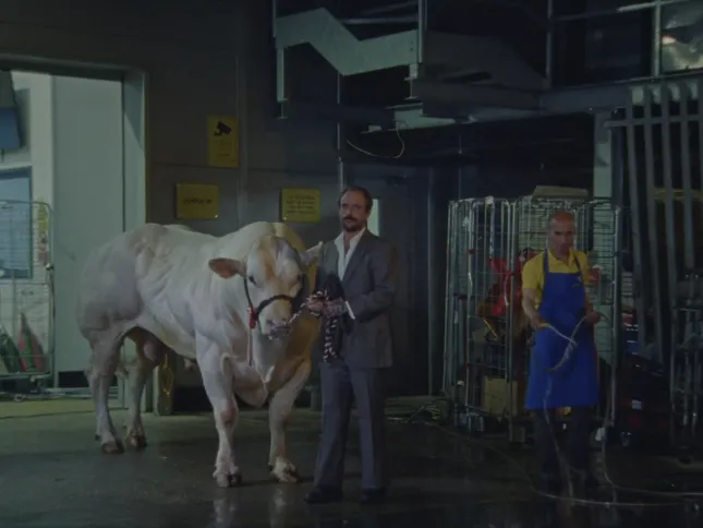 Idles - Gift Horse