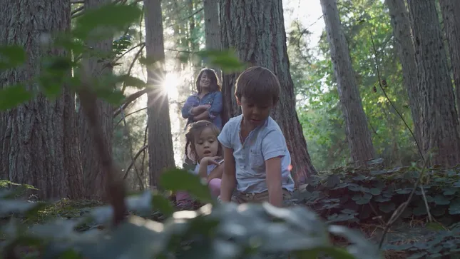 Toyota Prius Erica C Series