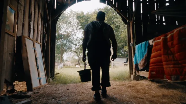 COME TO LIFE - Yerba Madre