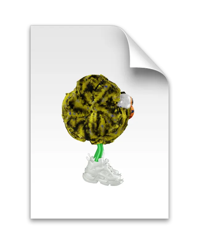 Project image