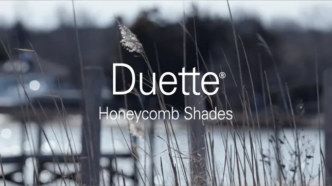 Hunter Douglas - Duette Honeycomb Shades