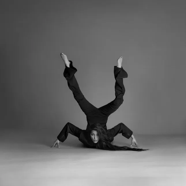 Album Artwork for This Hunt by Vandana