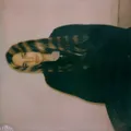 PV  Avatar