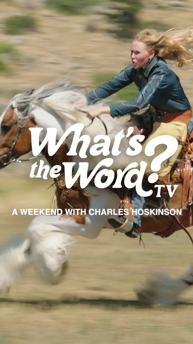 Weekend With Charles Hoskinson