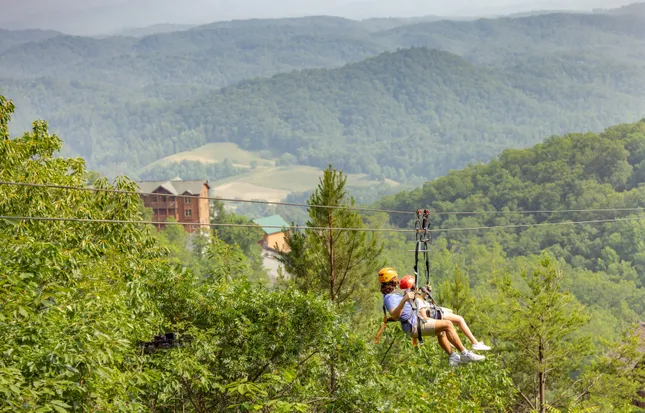 Adventure Park - Zip Lines