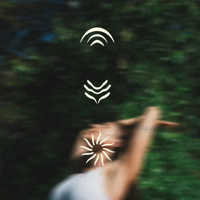 Liv Wellness Brand Identity