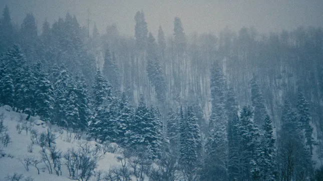 Free People | Movement x US Ski Team