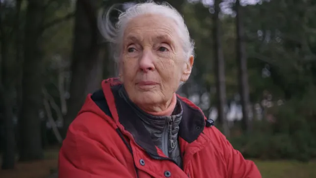 Jane Goodall: The Hope