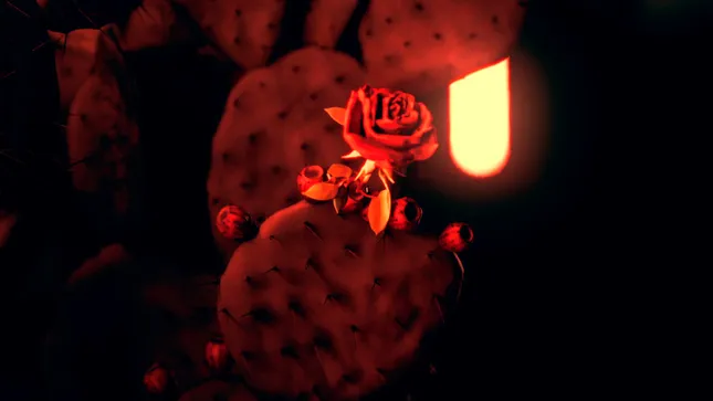Tour Visual