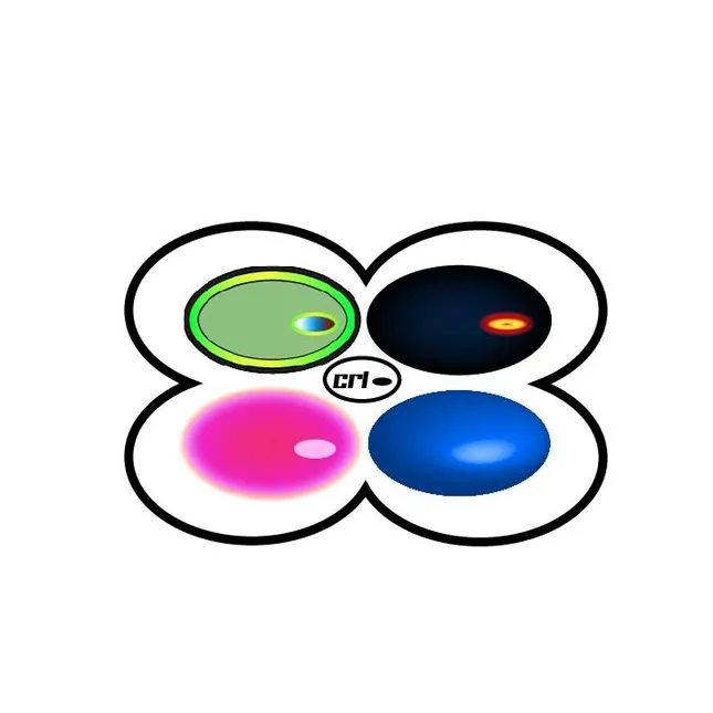 CRI design