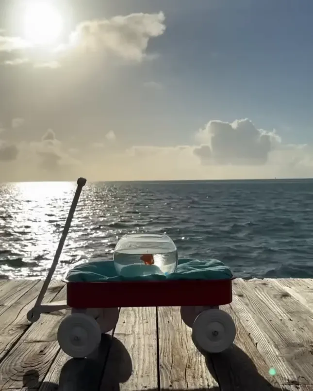 Old Navy Summer Campaign BTS