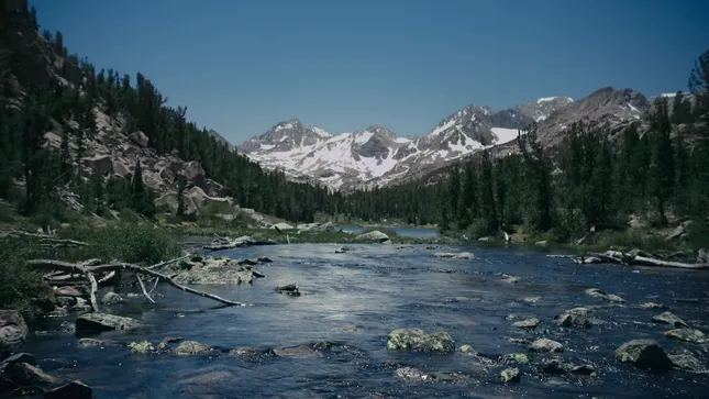 Hipcamp Presents: A Letter to Congress