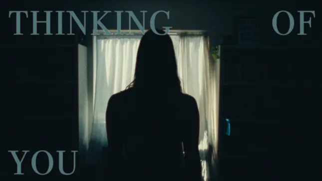 THINKING OF YOU -  Ornament and Crime
