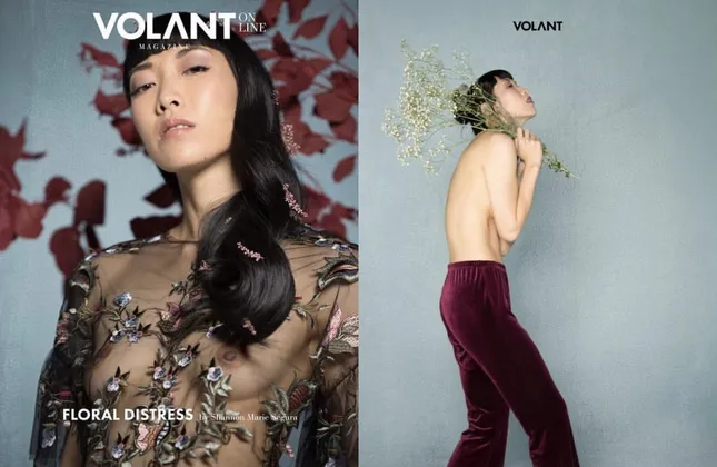Volant Editorial