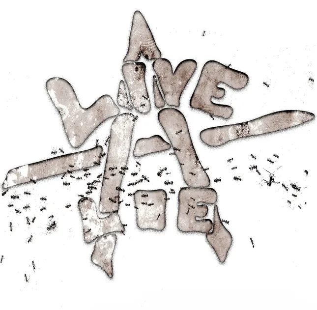 Live A Lie Graphic Design